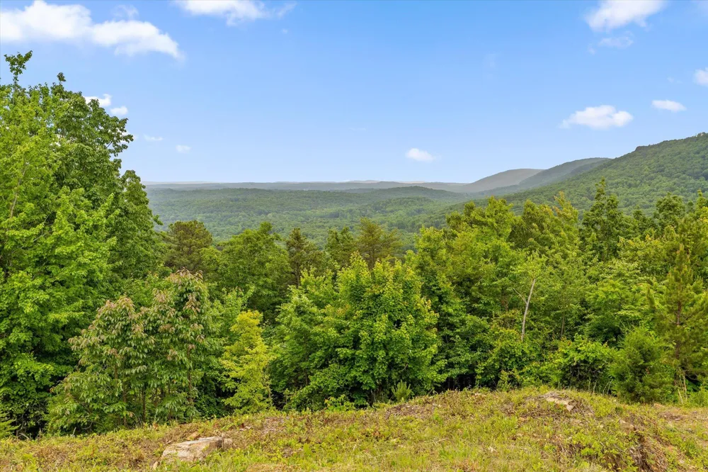 13532 Stoney Trail Sale Creek, TN 37373