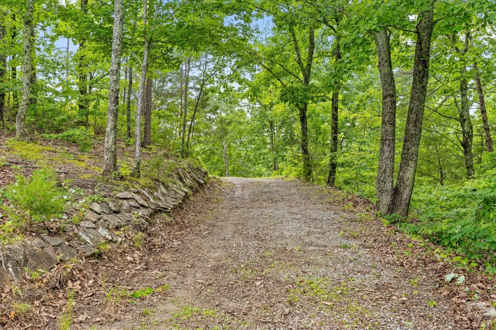 13532 Stoney Trail Sale Creek, TN 37373