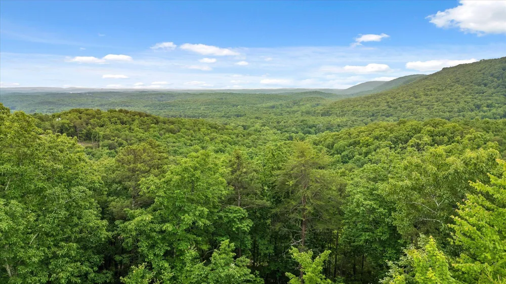 13532 Stoney Trail Sale Creek, TN 37373