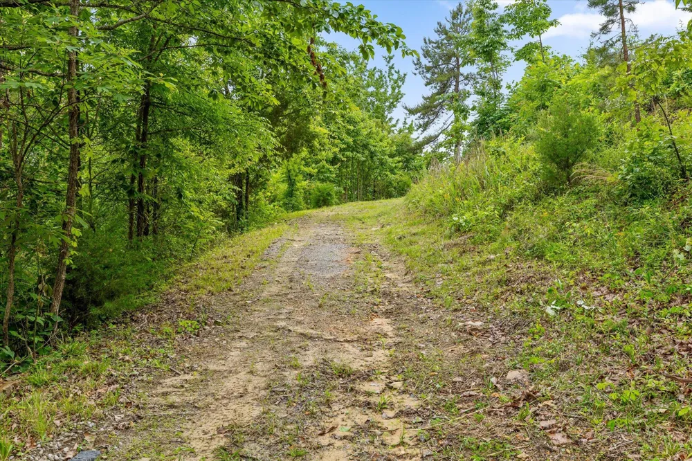 13532 Stoney Trail Sale Creek, TN 37373