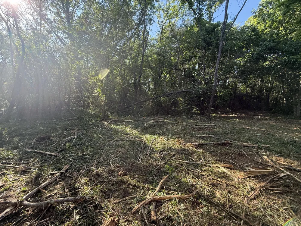 214 Middle Ridge Road Beersheba Springs, TN 37305