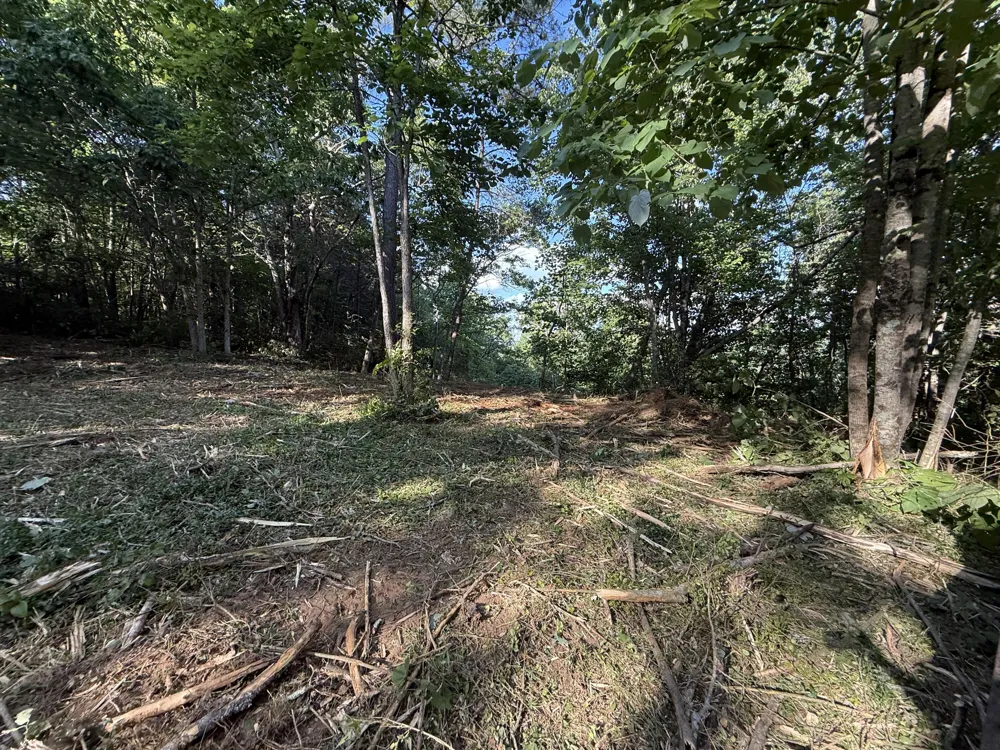214 Middle Ridge Road Beersheba Springs, TN 37305