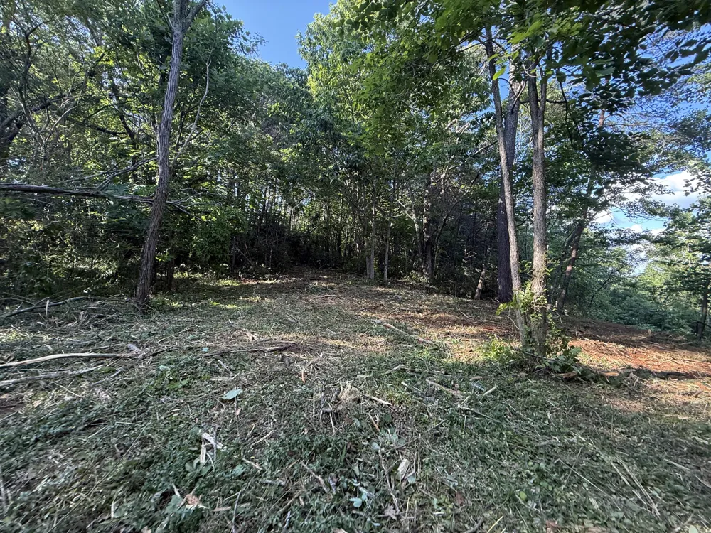 214 Middle Ridge Road Beersheba Springs, TN 37305