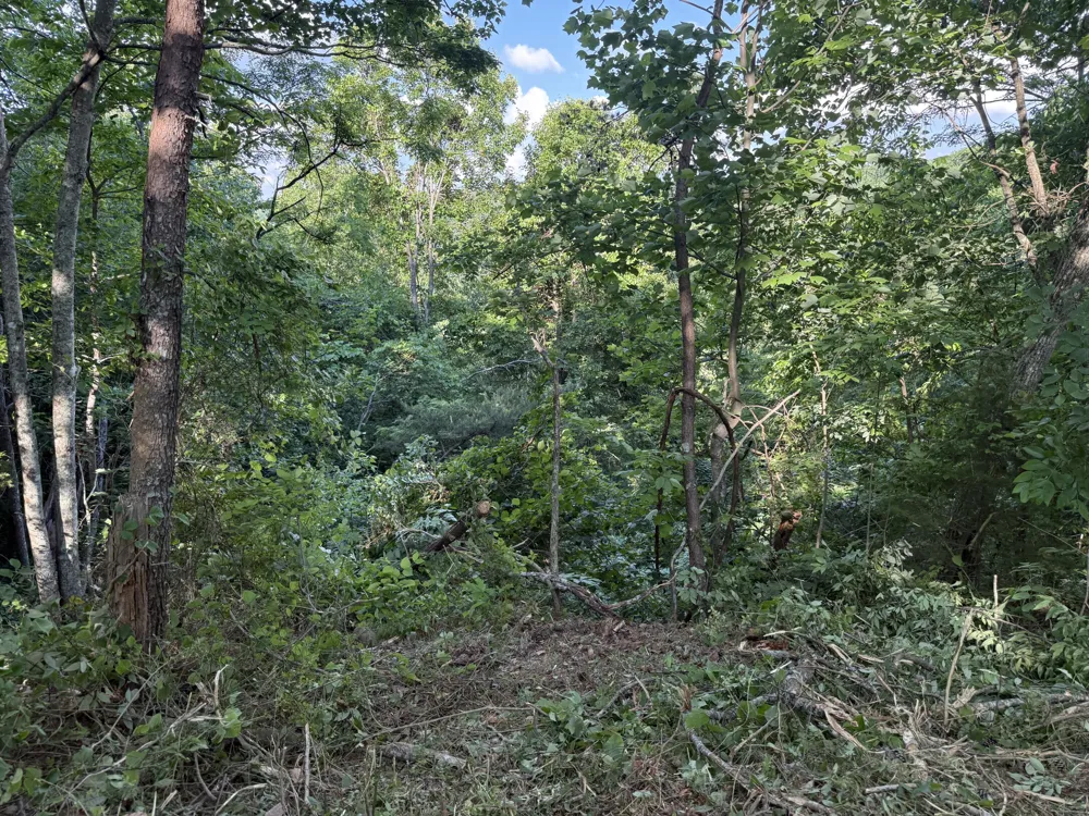 214 Middle Ridge Road Beersheba Springs, TN 37305