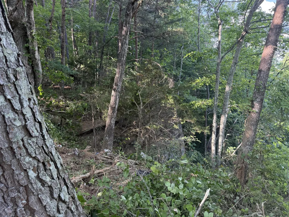 214 Middle Ridge Road Beersheba Springs, TN 37305