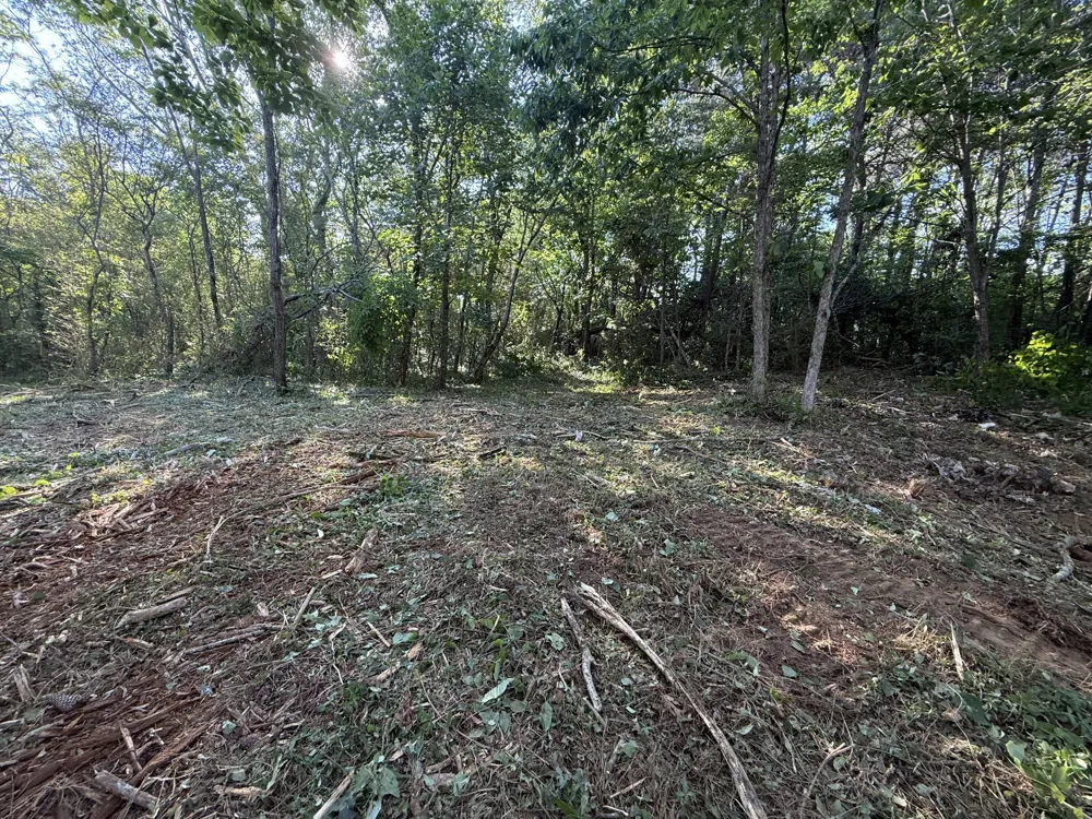214 Middle Ridge Road Beersheba Springs, TN 37305