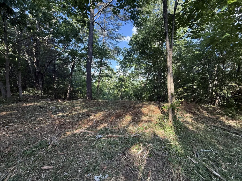 214 Middle Ridge Road Beersheba Springs, TN 37305