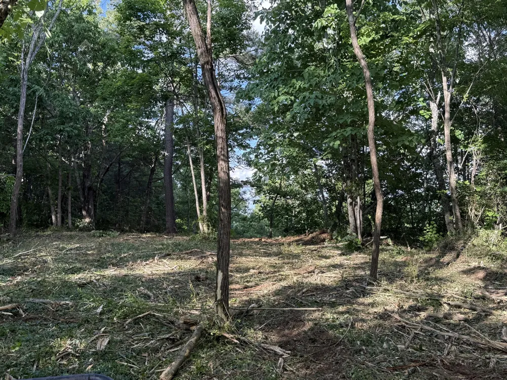 214 Middle Ridge Road Beersheba Springs, TN 37305