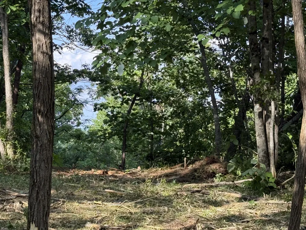 214 Middle Ridge Road Beersheba Springs, TN 37305