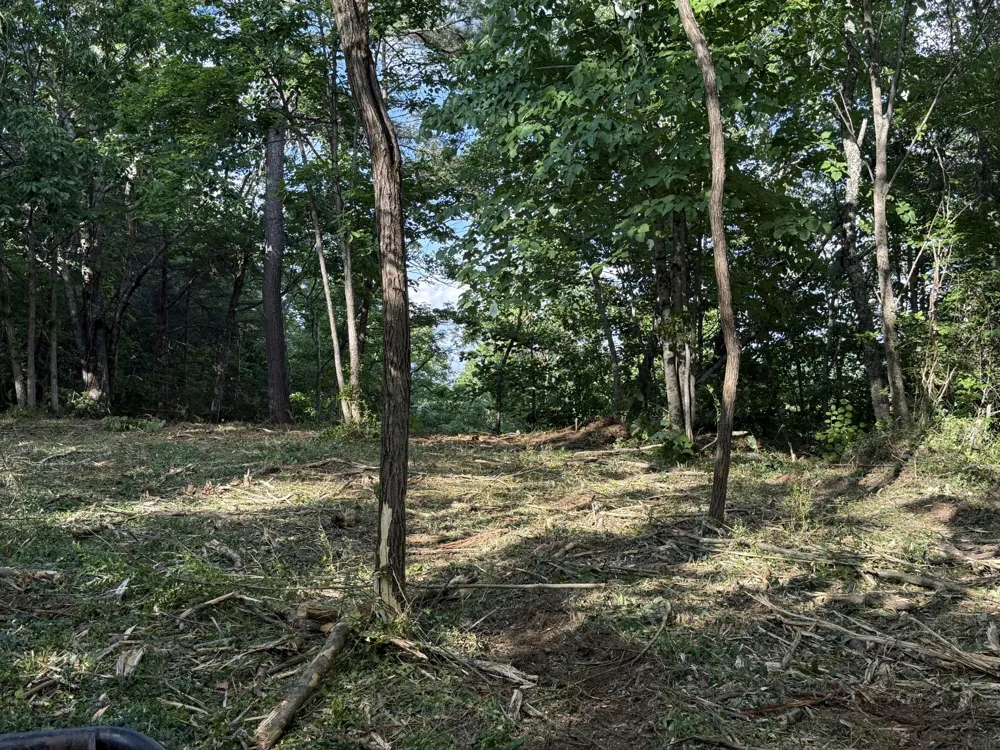 214 Middle Ridge Road Beersheba Springs, TN 37305