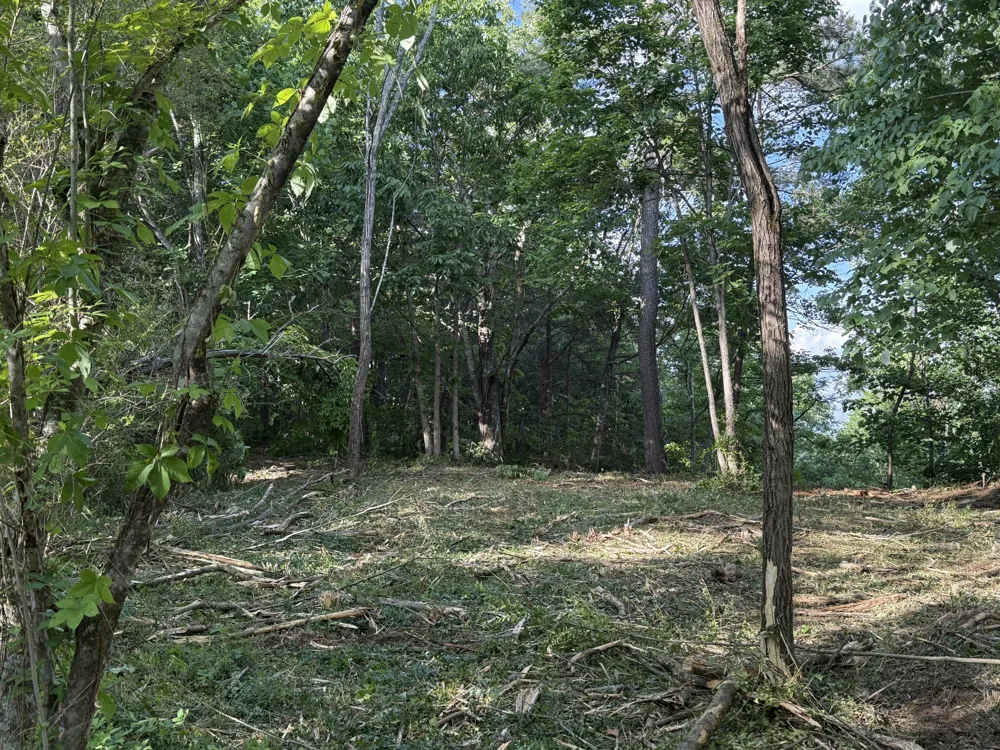 214 Middle Ridge Road Beersheba Springs, TN 37305