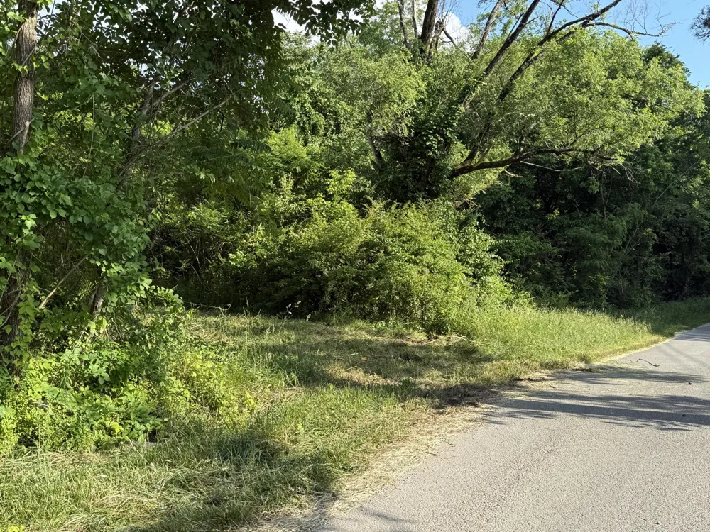 214 Middle Ridge Road Beersheba Springs, TN 37305