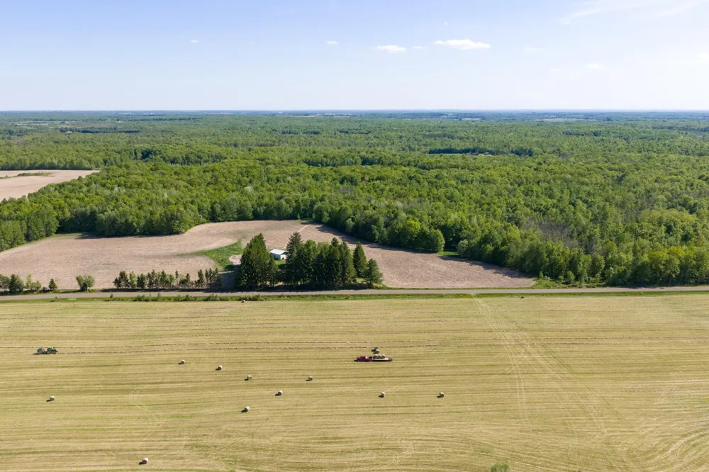 40 Acres 270th Street Cornell, WI 54732