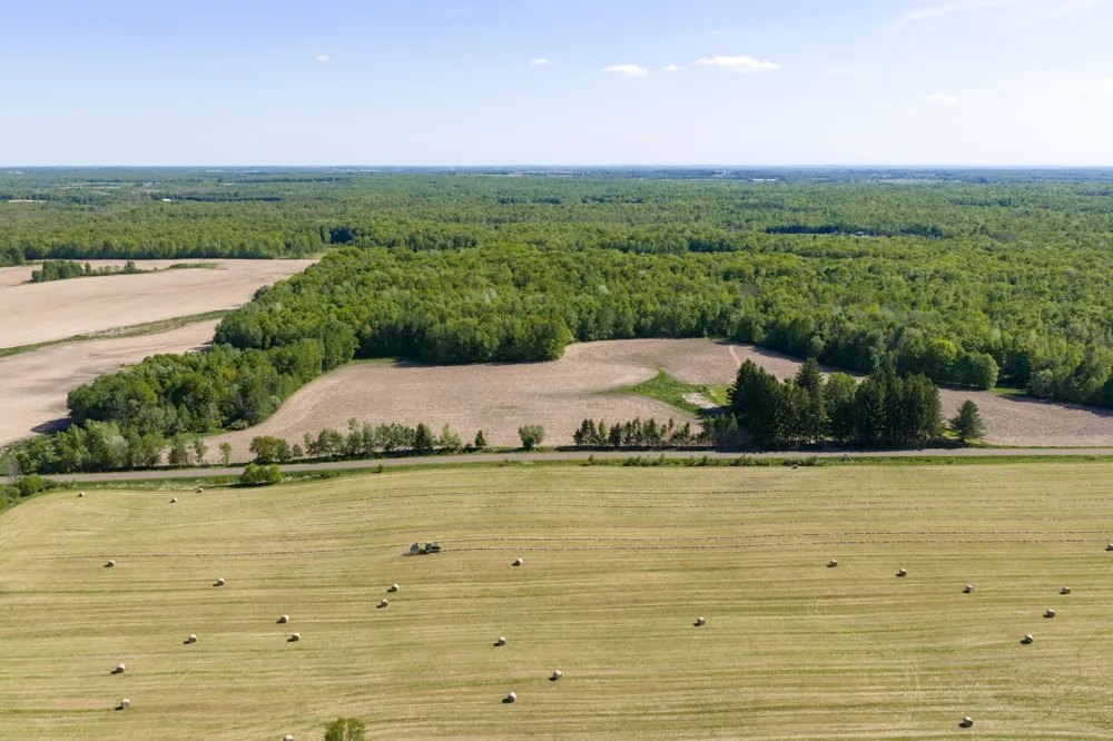 40 Acres 270th Street Cornell, WI 54732