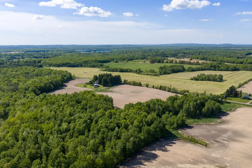 40 Acres 270th Street Cornell, WI 54732