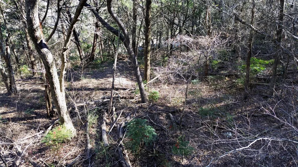 1917 Juniper Ridge Road Cedar Hill, TX 75104