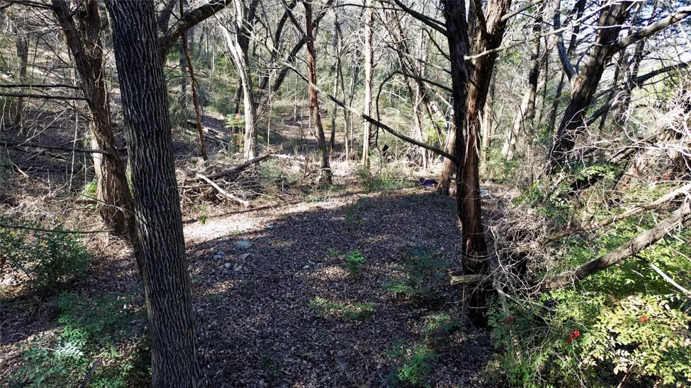 1917 Juniper Ridge Road Cedar Hill, TX 75104