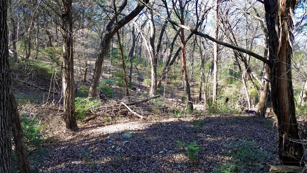 1917 Juniper Ridge Road Cedar Hill, TX 75104