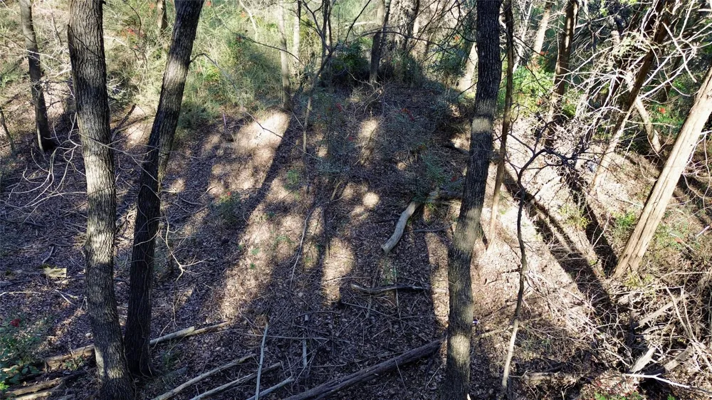 1917 Juniper Ridge Road Cedar Hill, TX 75104