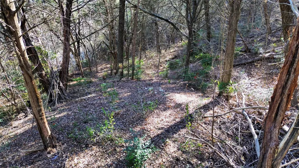 1917 Juniper Ridge Road Cedar Hill, TX 75104