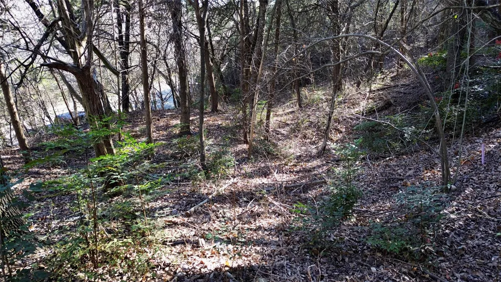 1917 Juniper Ridge Road Cedar Hill, TX 75104