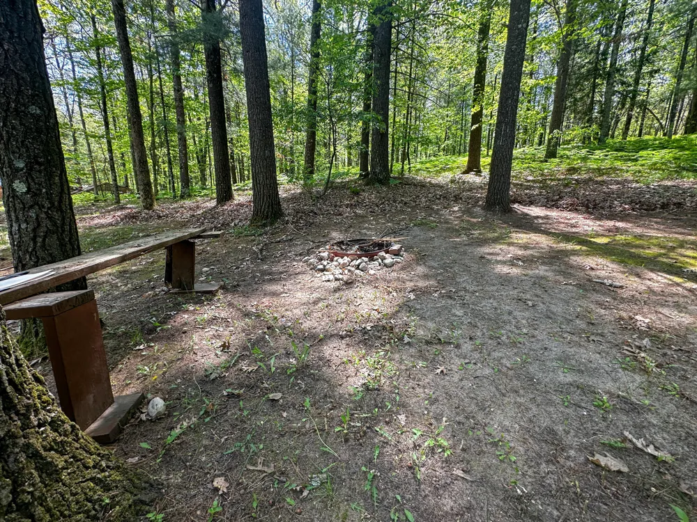 8923 W Toma Trail Irons, MI 49644