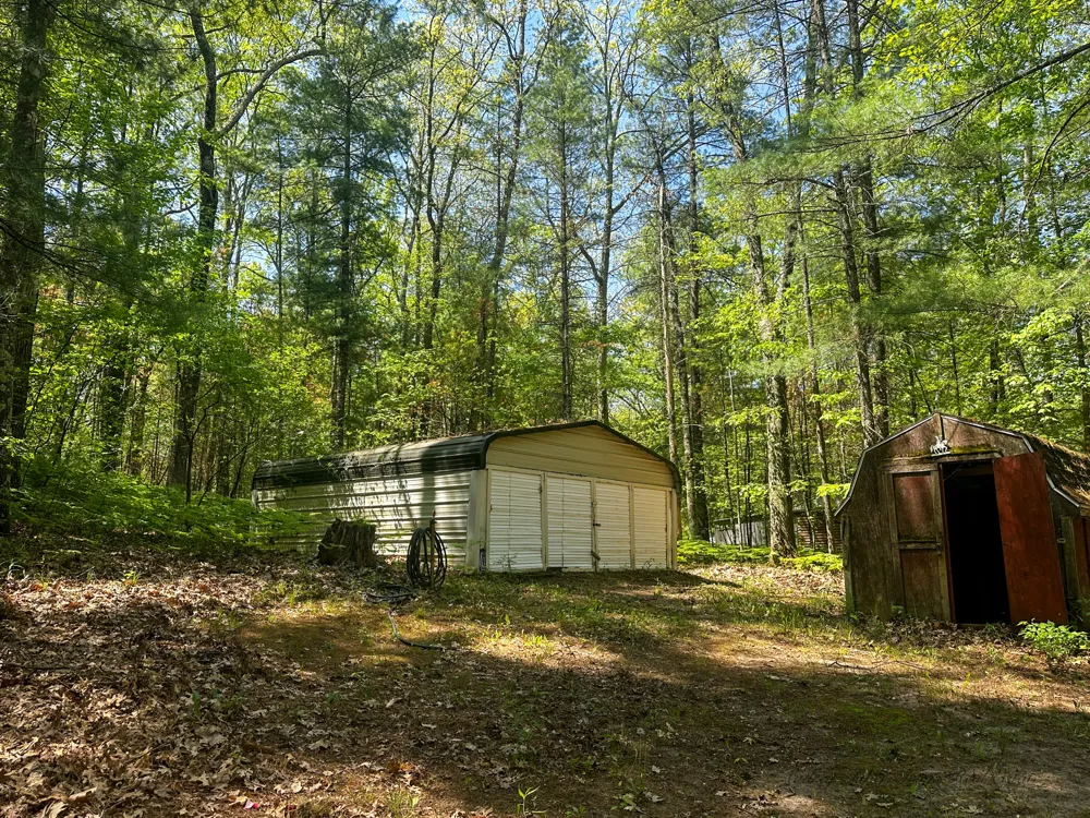 8923 W Toma Trail Irons, MI 49644