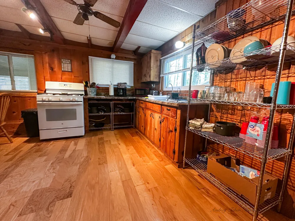 8923 W Toma Trail Irons, MI 49644