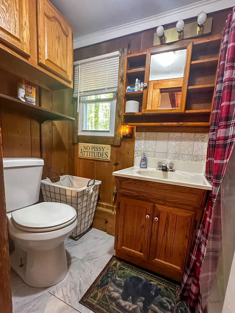 8923 W Toma Trail Irons, MI 49644