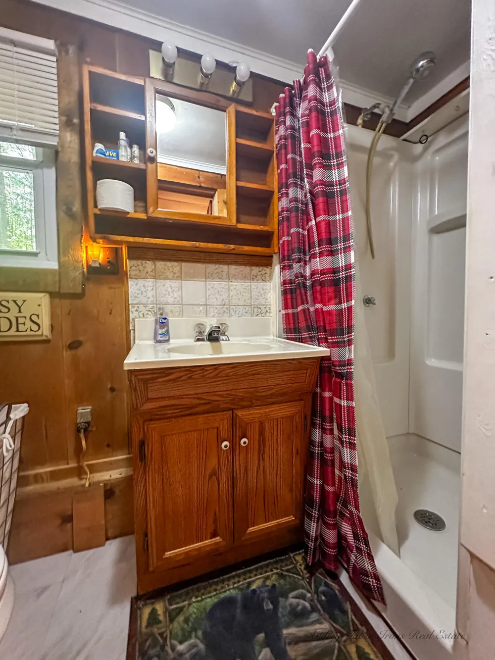 8923 W Toma Trail Irons, MI 49644
