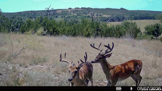 0 County Road 535 Evant, TX 76853