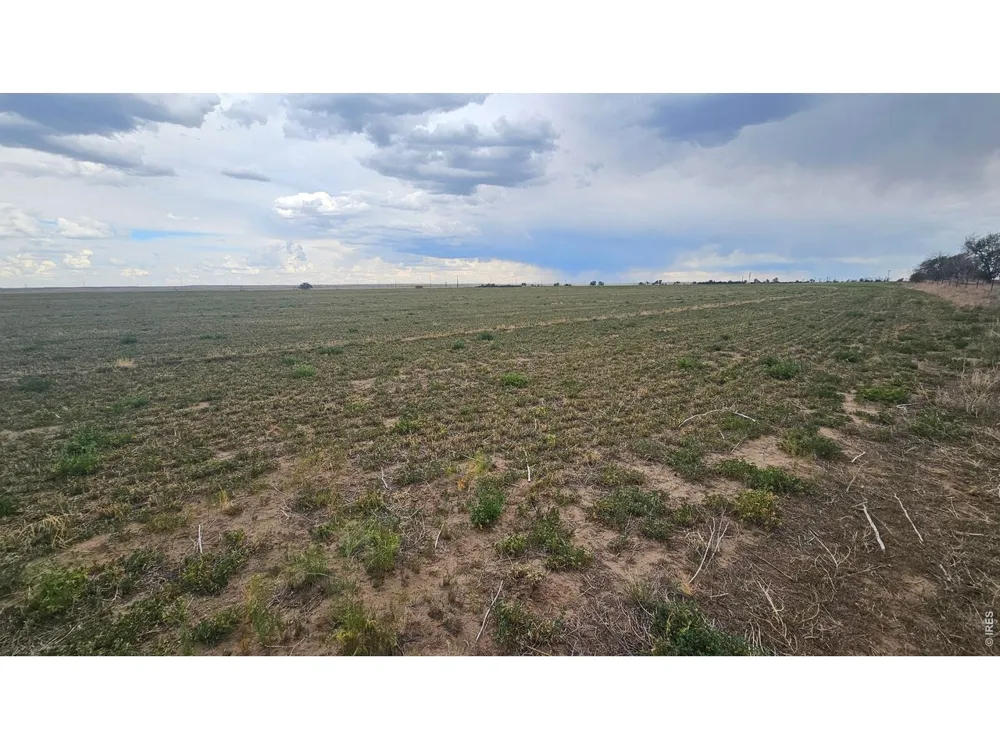 0 TBD Wiggins, CO 80654