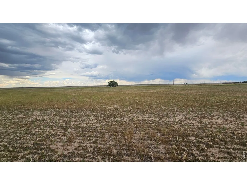 0 TBD Wiggins, CO 80654