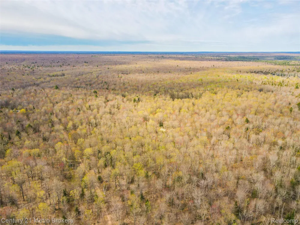 21821 Krenkel Mcmillan Township, MI 49868