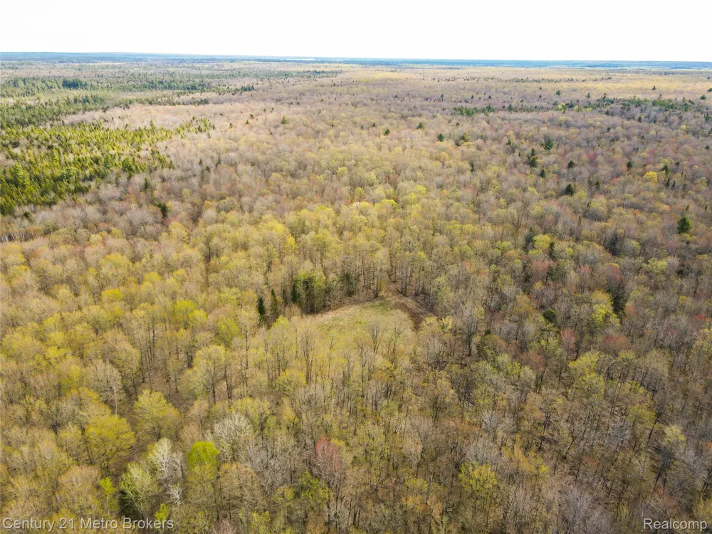 21821 Krenkel Mcmillan Township, MI 49868