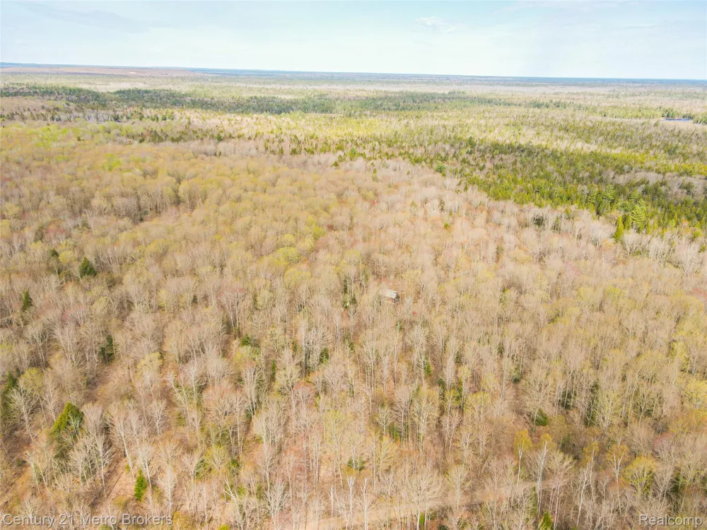 21821 Krenkel Mcmillan Township, MI 49868