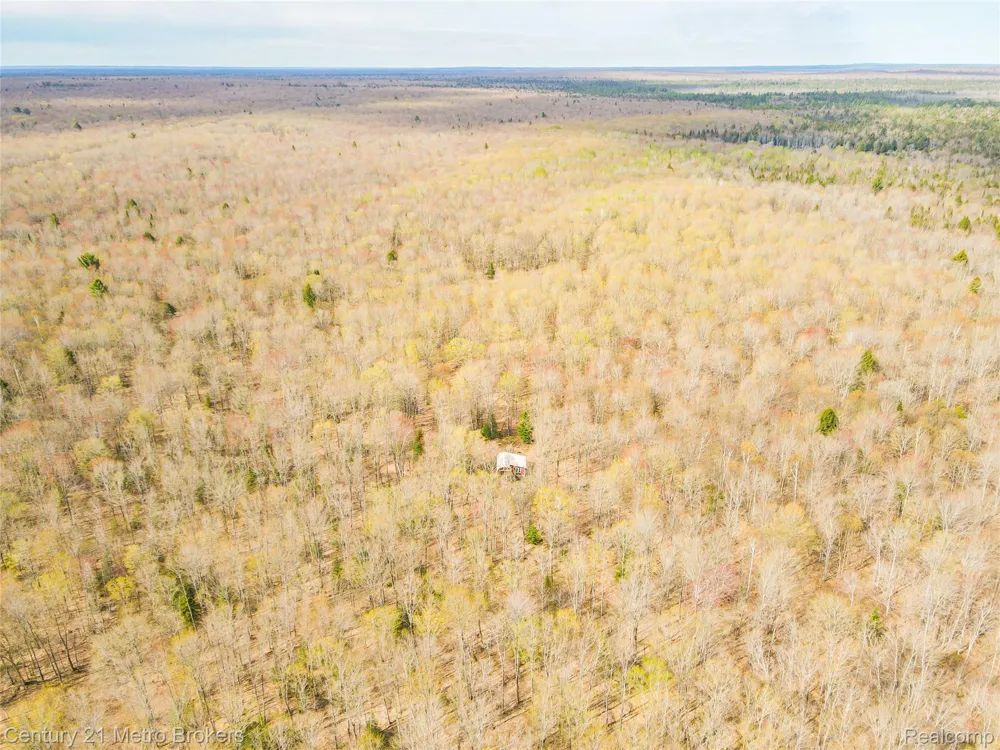 21821 Krenkel Mcmillan Township, MI 49868