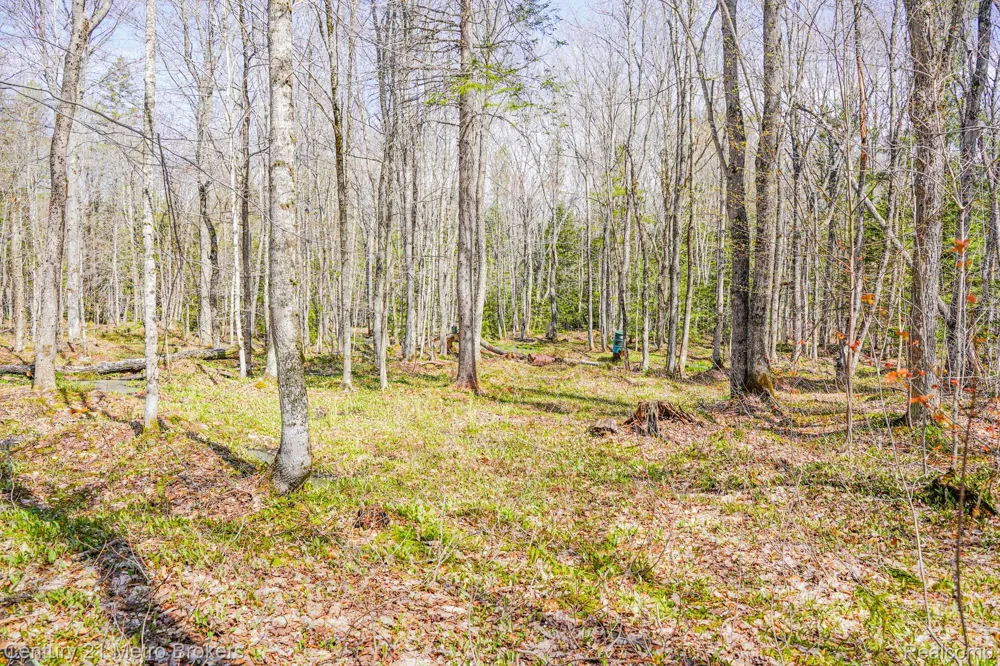 21821 Krenkel Mcmillan Township, MI 49868