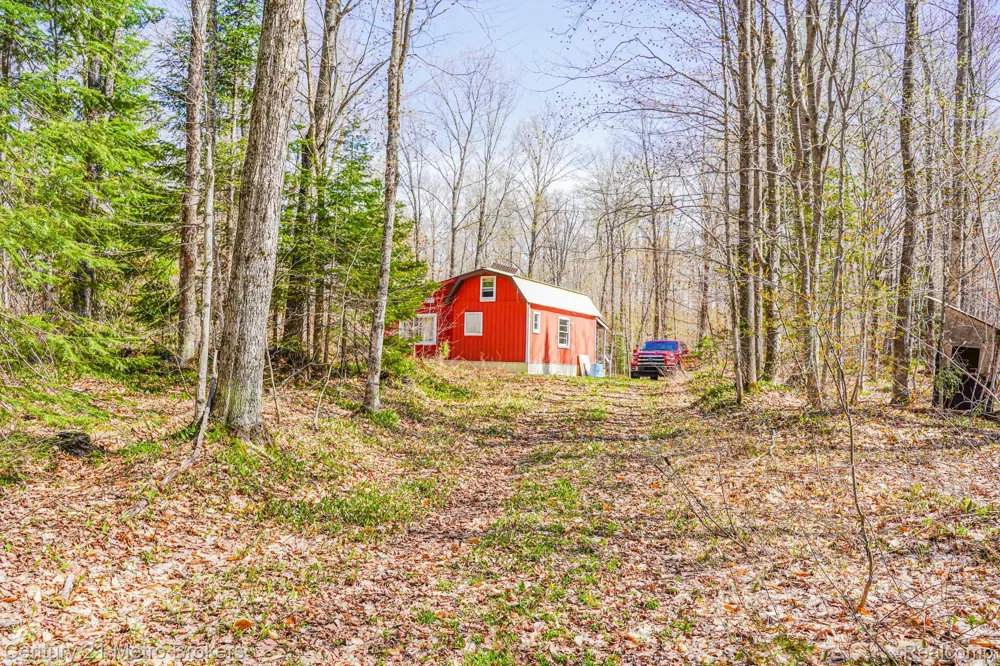 21821 Krenkel Mcmillan Township, MI 49868