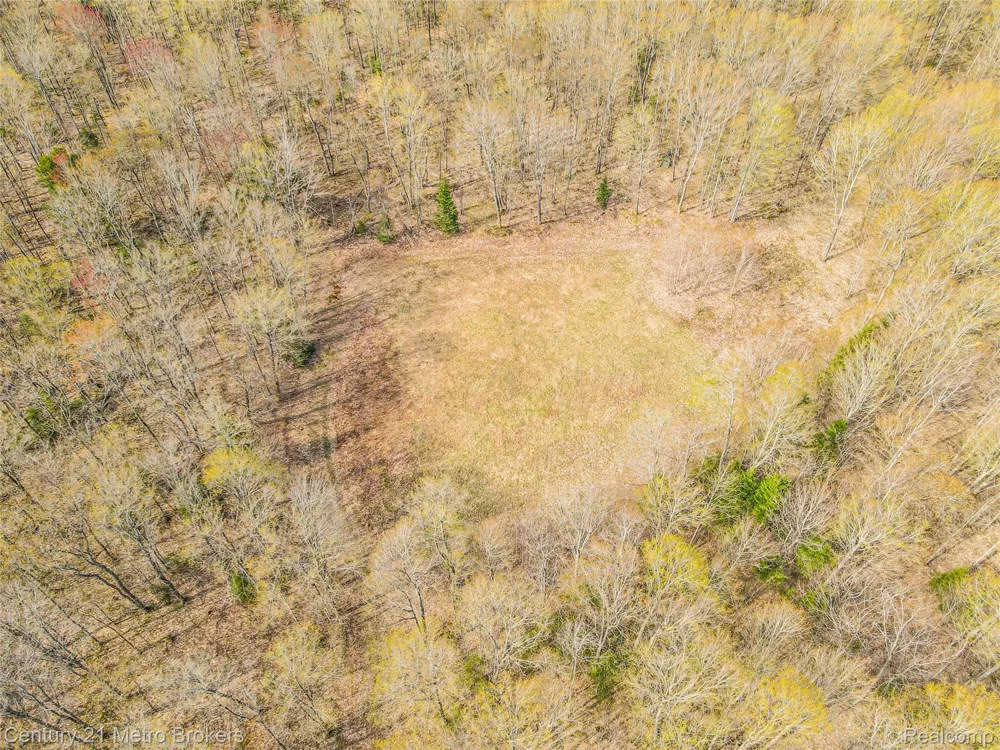 21821 Krenkel Mcmillan Township, MI 49868