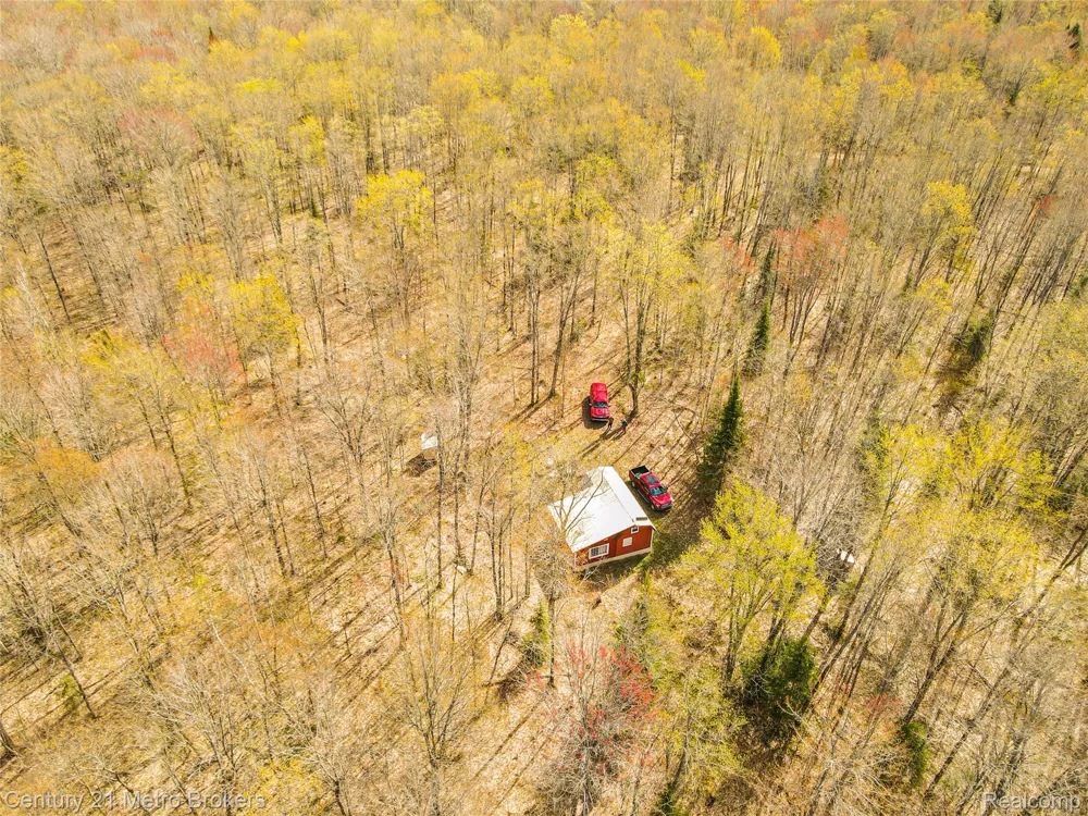 21821 Krenkel Mcmillan Township, MI 49868