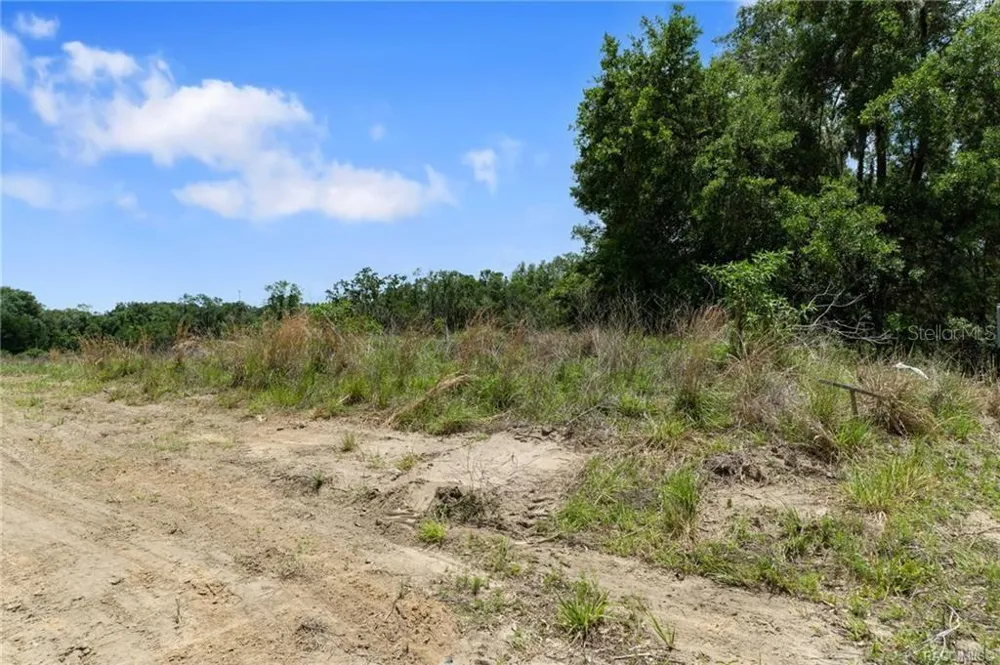 4452 E REJOICE STREET Inverness, FL 34453