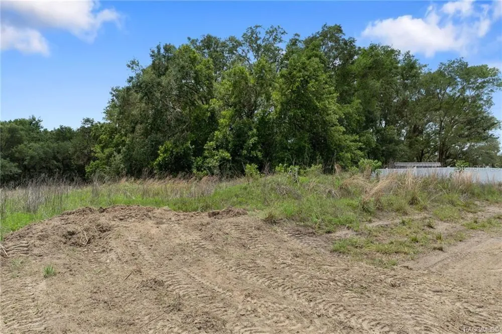 4452 E REJOICE STREET Inverness, FL 34453