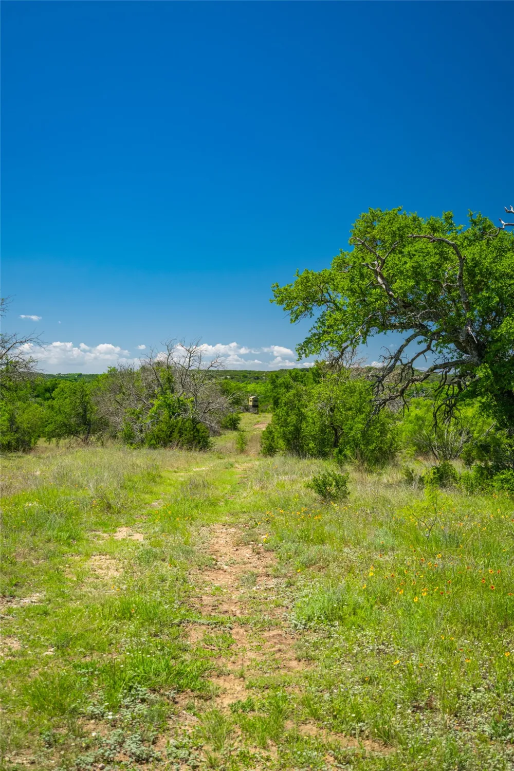 County Road 535 Evant, TX 76853