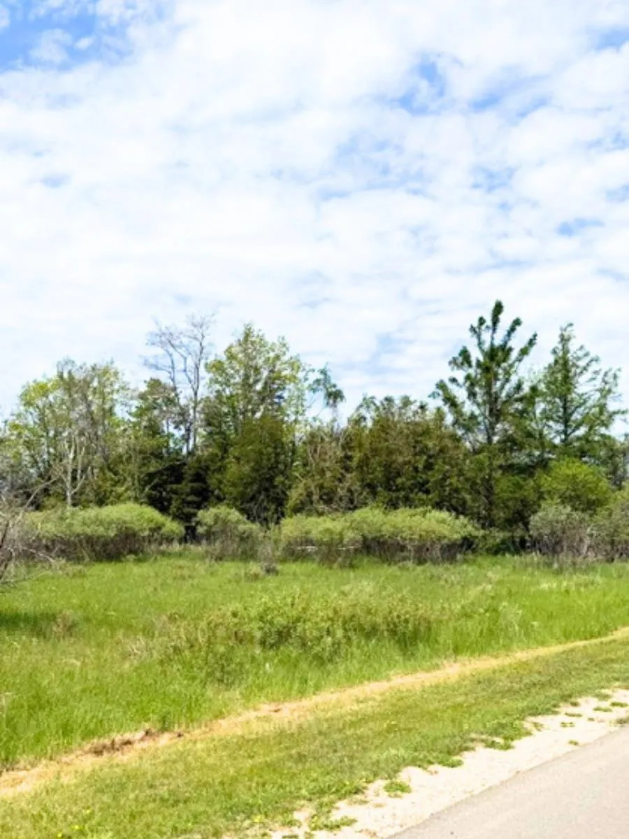 W Fairway Onekama Township, MI 49675