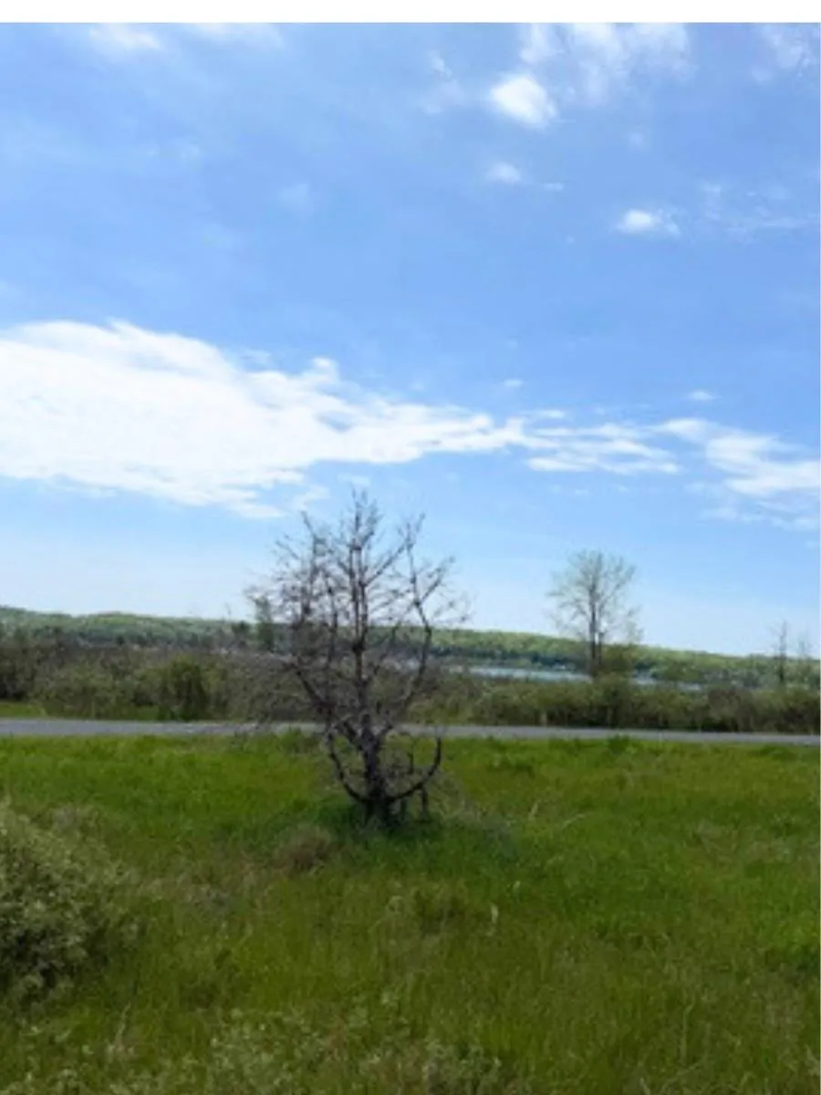 W Fairway Onekama Township, MI 49675