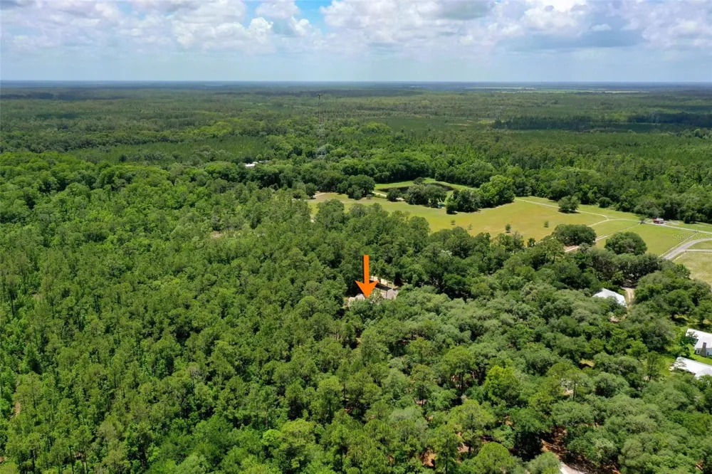 3296 OLD DIXIE HIGHWAY Bunnell, FL 32110