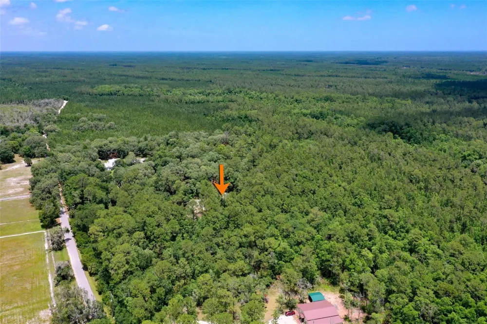 3296 OLD DIXIE HIGHWAY Bunnell, FL 32110