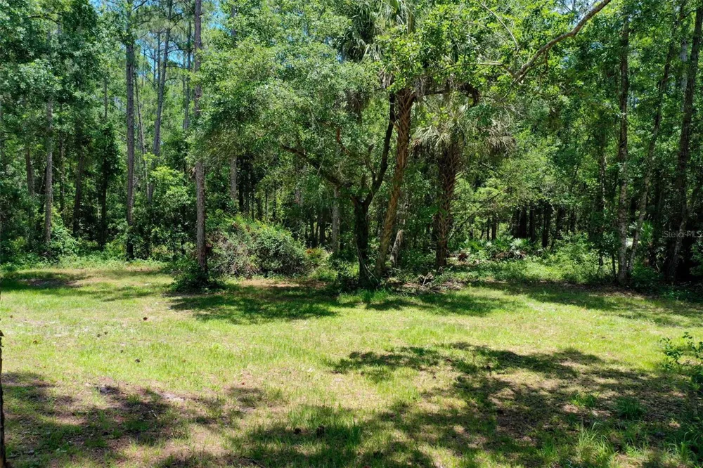 3296 OLD DIXIE HIGHWAY Bunnell, FL 32110