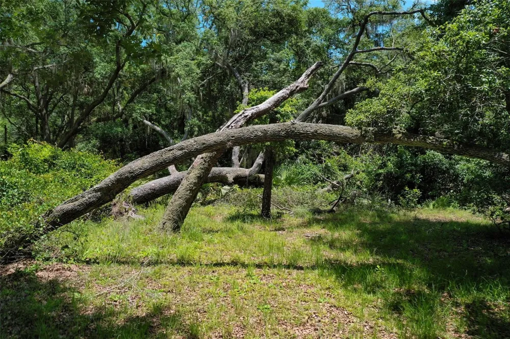 3296 OLD DIXIE HIGHWAY Bunnell, FL 32110
